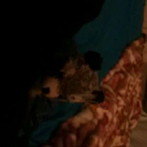 Meet your Posher, Katrina